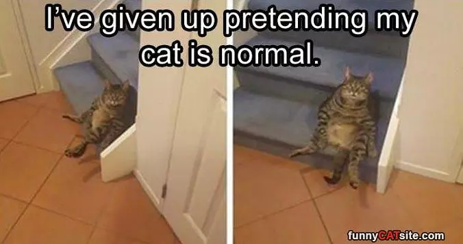 Not Pretending Anymore