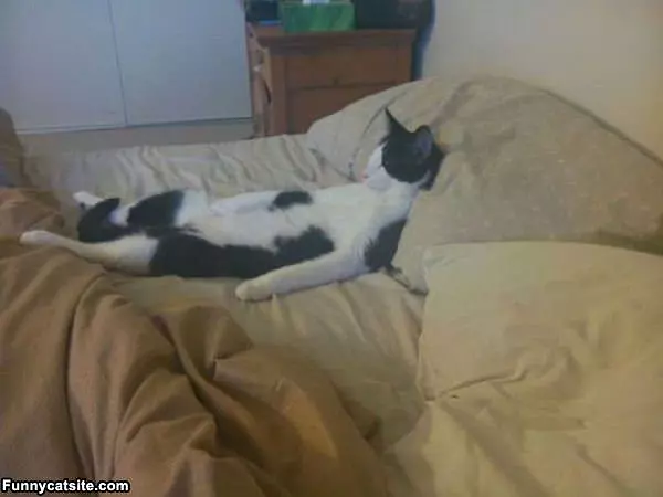 Sleep Like A Human