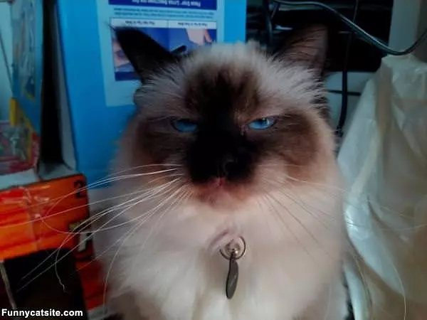 Not Impressed