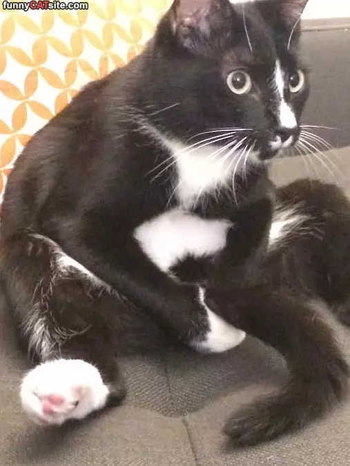 Caught In The Act