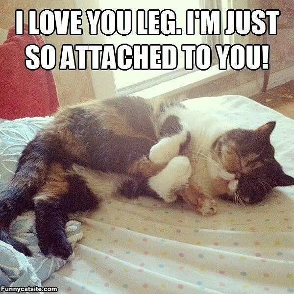 I Love You Leg