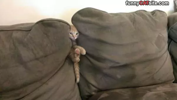Help I Stuck