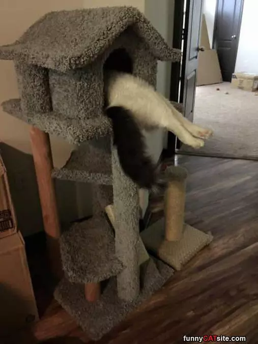 Im Relaxing