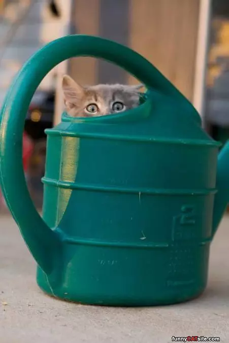 Im Hiding