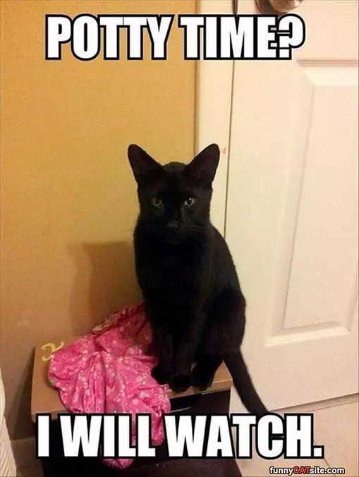 Potty Time