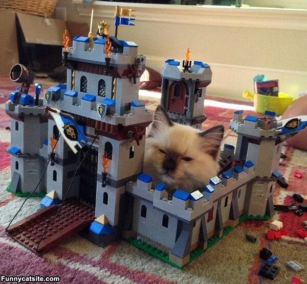 I Has A Castle