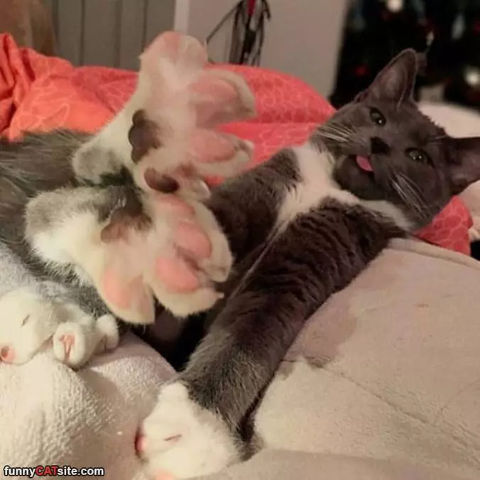 Super Stretched