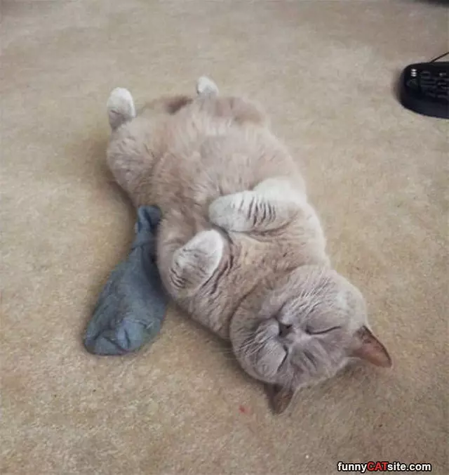 I Loooove Sleeping