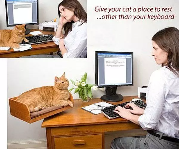Cat Bed