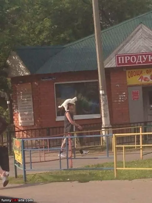 How To Ride A Human