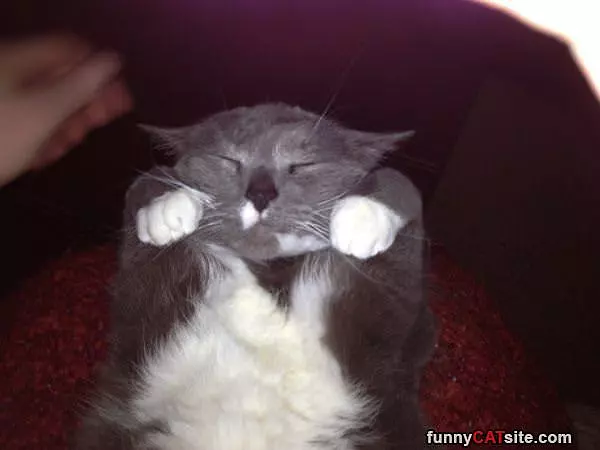 Being Sooo Cute