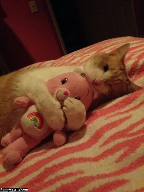 My Care Bear