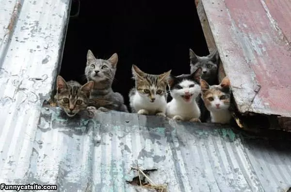 We Are Watching You