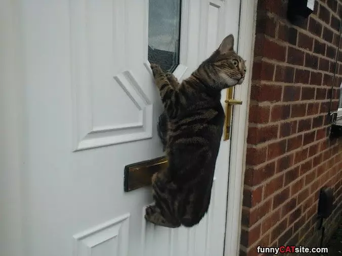 Climbing The Door