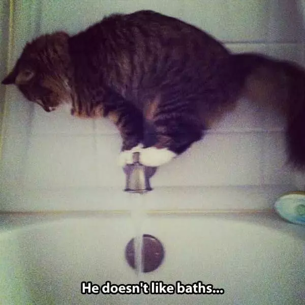 No Baths