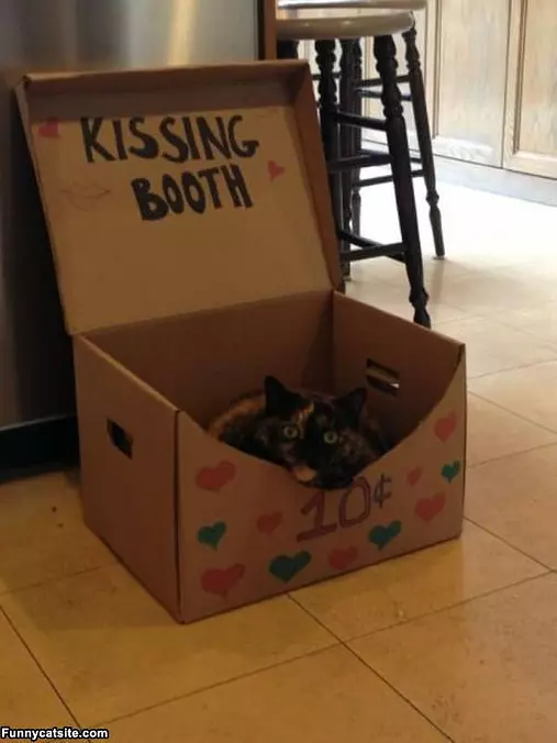 Kissing Booth