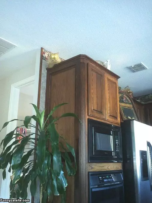 King Of The Castle