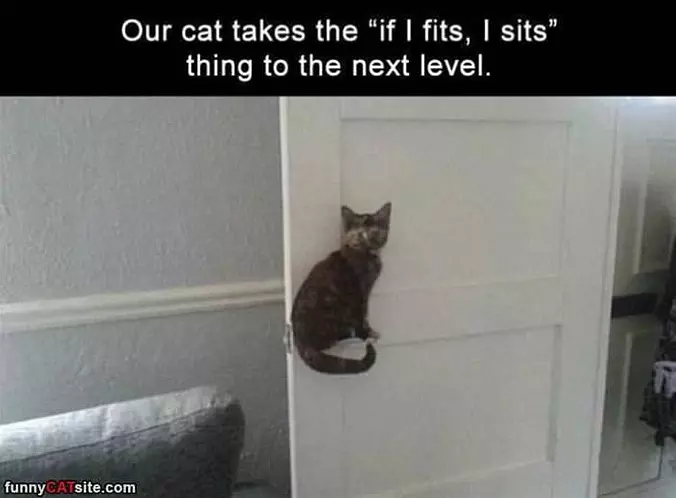 If I Fits