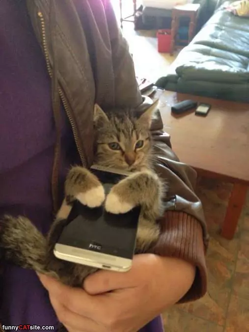 I Like Your Phone