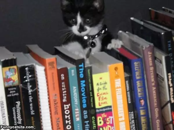 Where Is My Book