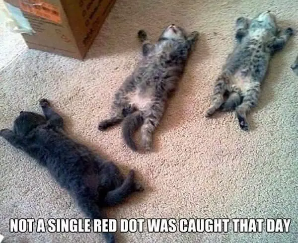 Not A Single Dot