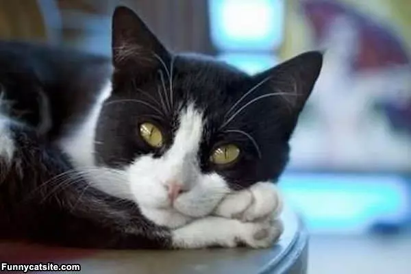 Ohhh Just Relaxing