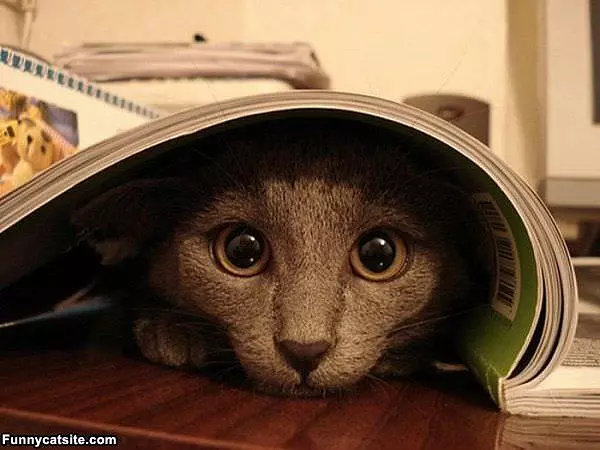 Under The Book