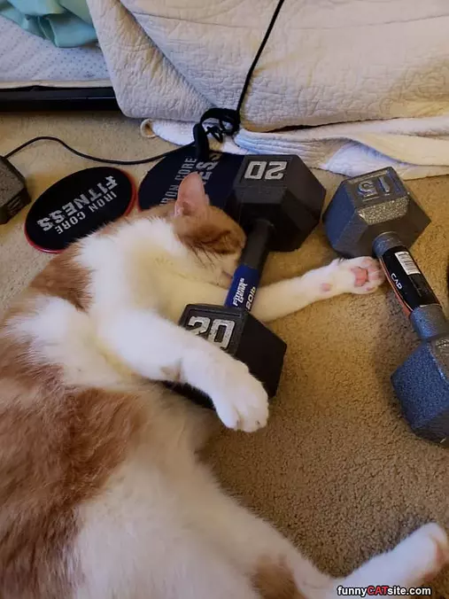 Got A Helping Hand