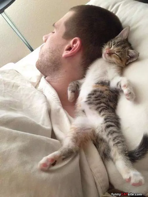 I Will Sleep Here