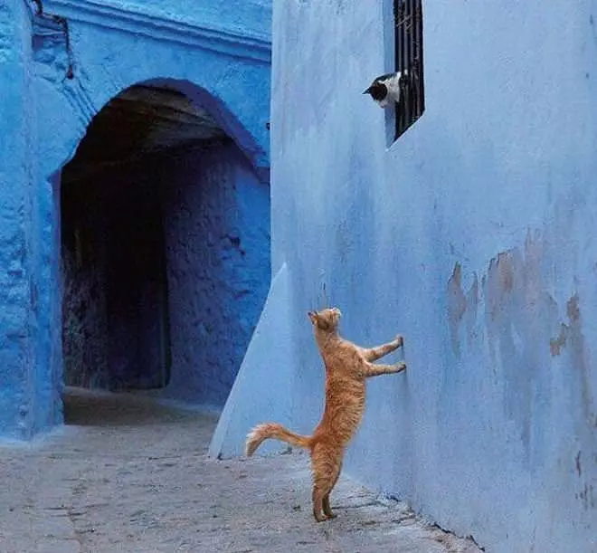 Romeo And Juliet