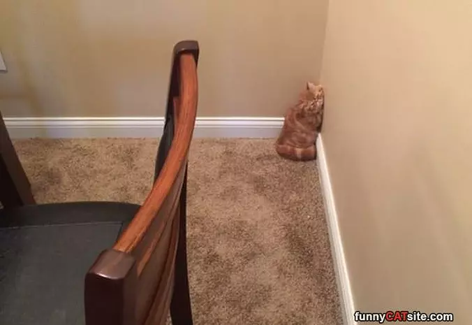 In The Corner