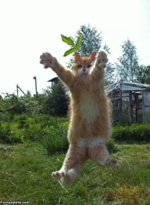 It Was This Big
