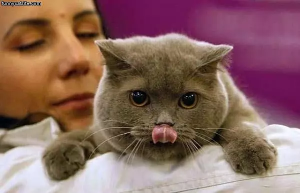 Yum