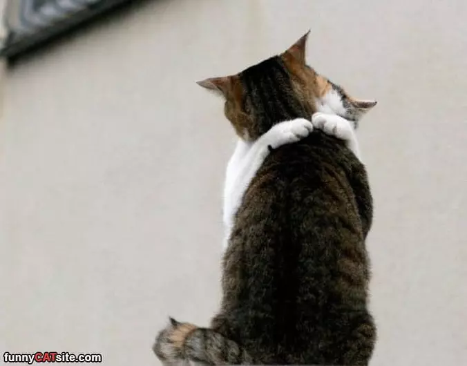Give Me A Hug