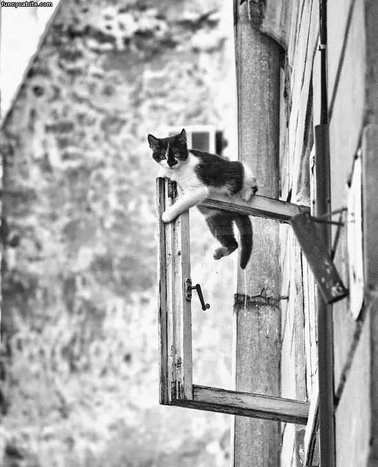 Dont-jump