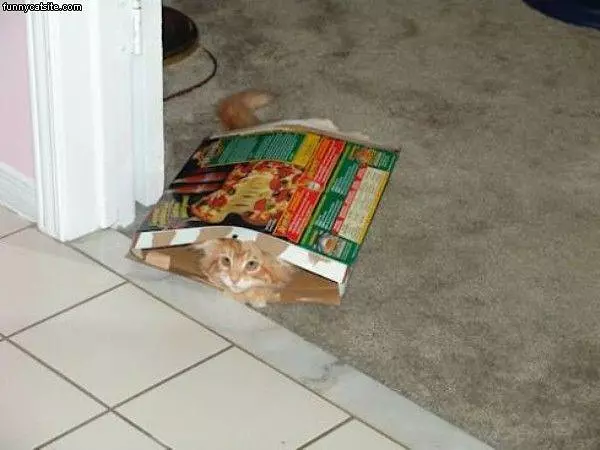 I Have A Box