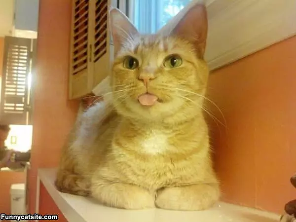I Got A Tongue See