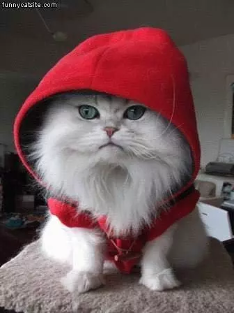 Fluffy Red Hat