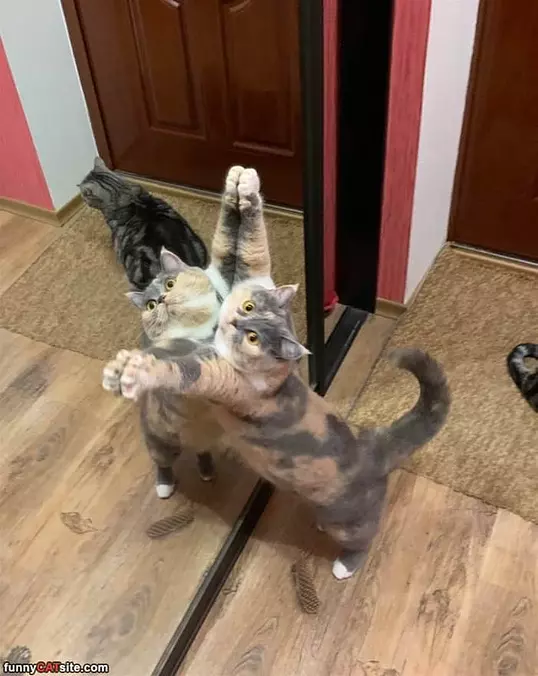 This Is Mine Now