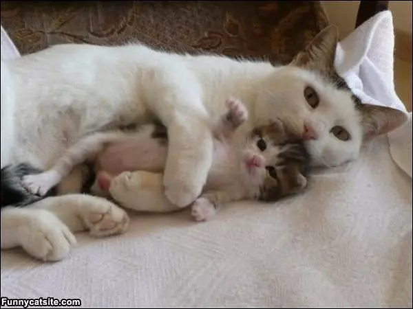Mom Hugs