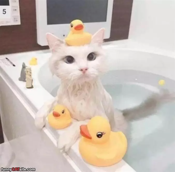 This Bath Is Perfect