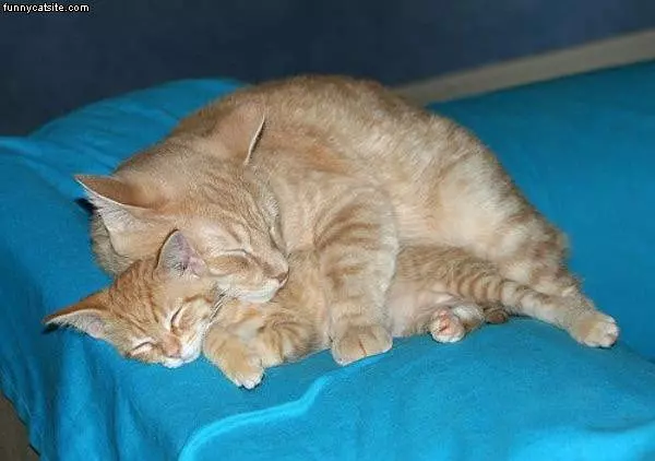 Sleeping Together