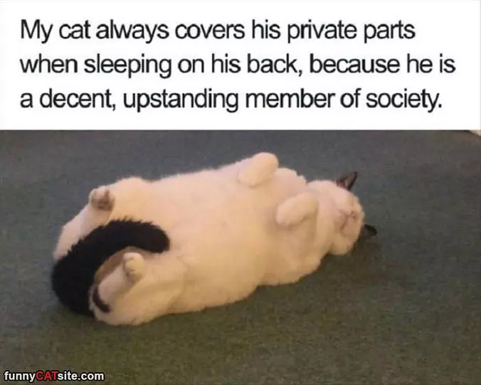 I Cover Them Up
