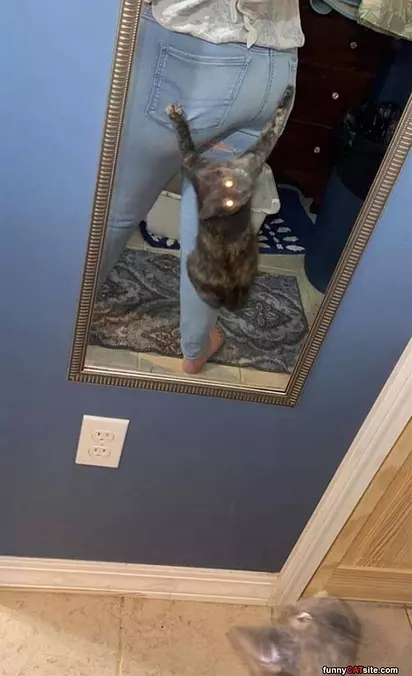 Climbing