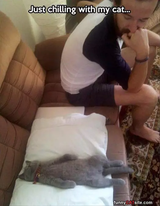 Chillin With My Cat