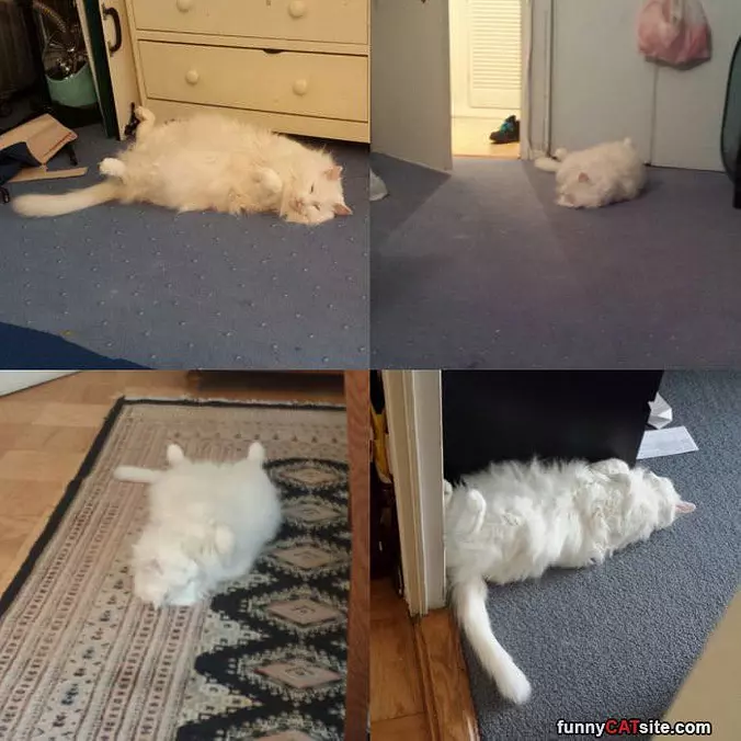 I Sleep Anywhere Anytime