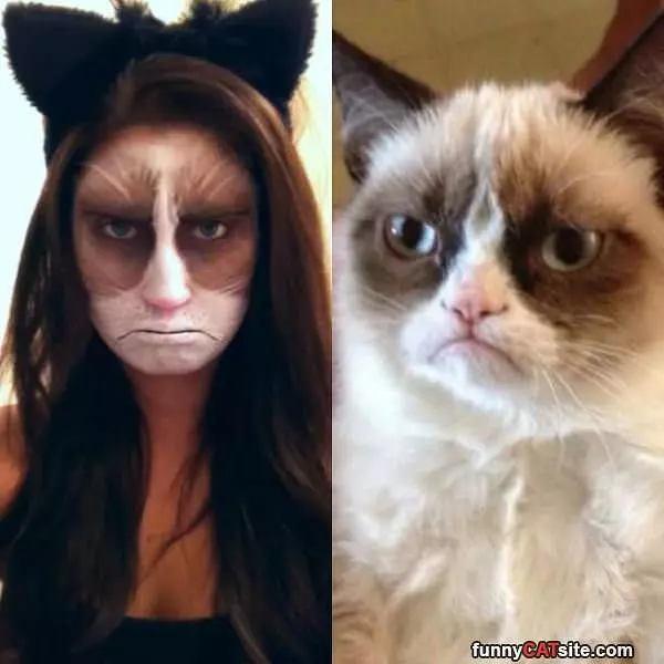 The Grumpy Cat Costume