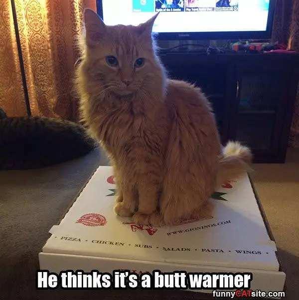 Its A Butt Warmer