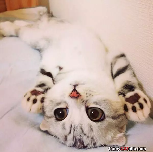 Just Me Being All Cute