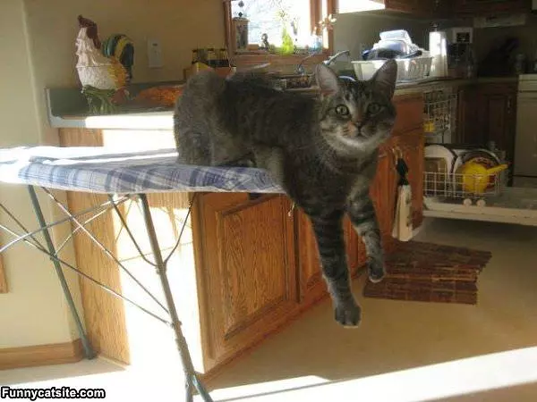 Just Hanging Around Here